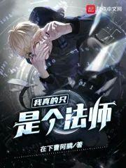 我真的只是个法师!