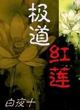 极道之登封少林武学院