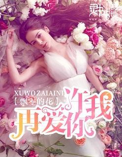 许我再爱你