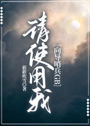 请指引我[向导哨兵GB]
