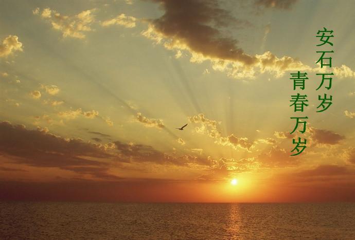 安石万岁,青春万岁