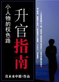 小人物的官场路:升官指南