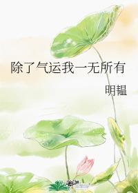 除了气运我一无所有