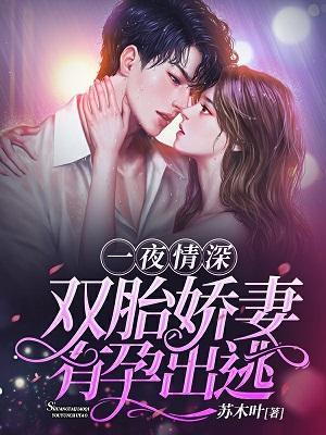一夜情深:双胎娇妻,有孕出逃