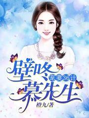宠妻36计︰壁咚,慕先生