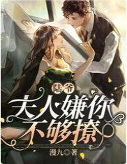 陆爷,夫人嫌你不够撩