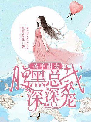圣手甜妻:腹黑总裁深深宠