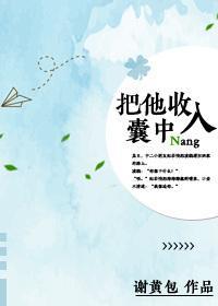 把他收入囊中