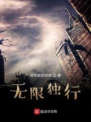 无限独行之王txt