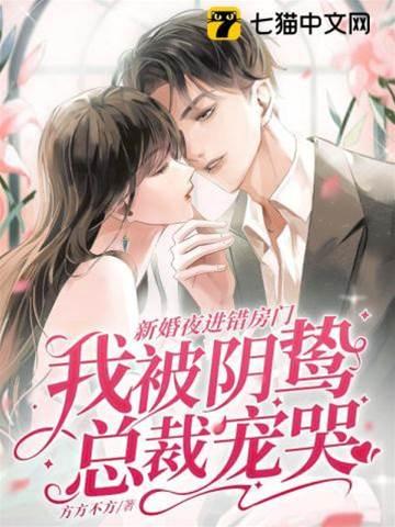 新婚夜进错房门,我被阴鸷总裁宠哭