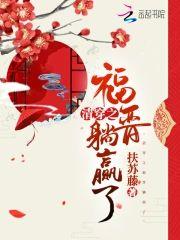 清穿之福晋躺赢了