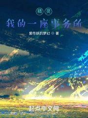 精灵:我的一座事务所