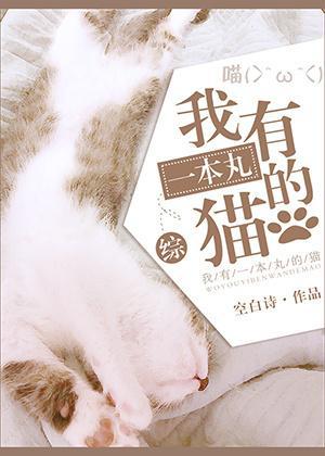 我有一本丸的猫[综]