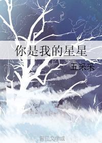 你是我的星星