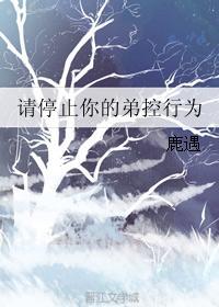 请停止你的弟控行为