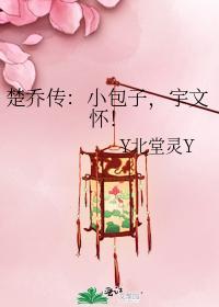楚乔传:小包子,宇文怀!