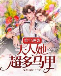 重生逆袭:夫人她超多马甲
