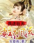 凤逆狂天:妻主不风流