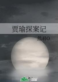 贾瑜探案记