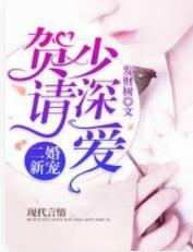 二婚新宠：贺少请深爱