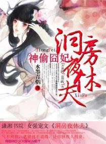 神偷妃,洞房夜休夫