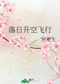 落日升空飞行