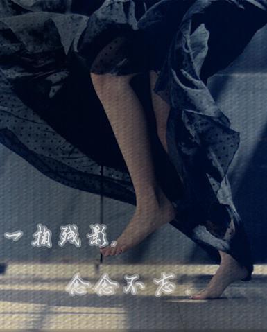 一掬残影，念念不忘。