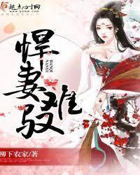 悍妻难驭