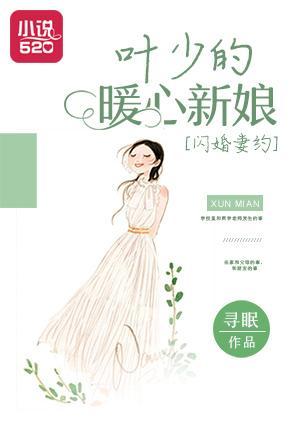 闪婚妻约:叶少的暖心新娘
