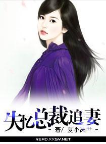 失忆总裁追妻