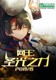 网球霸主:圣光之力