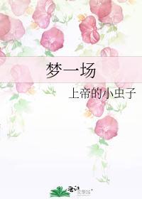 梦一场