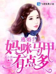 逃婚!妈咪马甲有点多