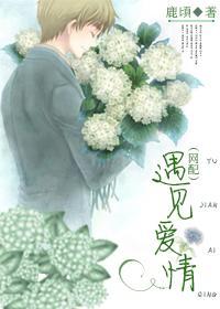遇见爱情(网配)