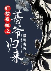 红楼系统之蔷爷归来