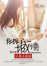 你拆了城墻,让我去流浪