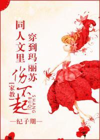[家教]穿到玛丽苏同人文裏伤不起