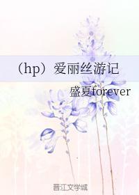 （hp）爱丽丝游记