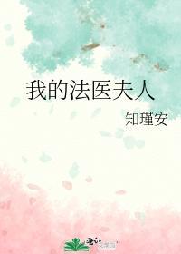我的法医夫人