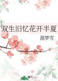 双生旧忆花开半夏