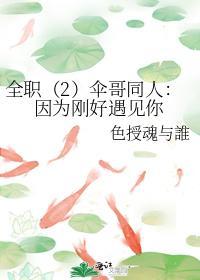 全职（2）伞哥同人：因为刚好遇见你