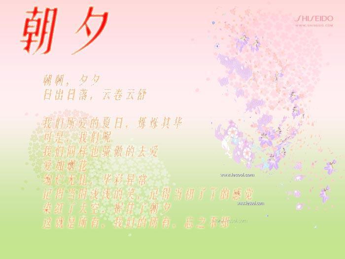 朝夕（网王之凤BG）