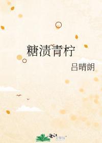 糖渍青柠