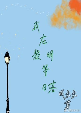 我在黎明等日落