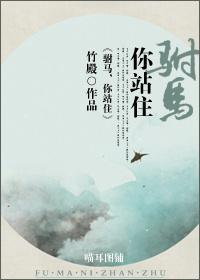 驸马,你站住