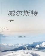 威尔斯特