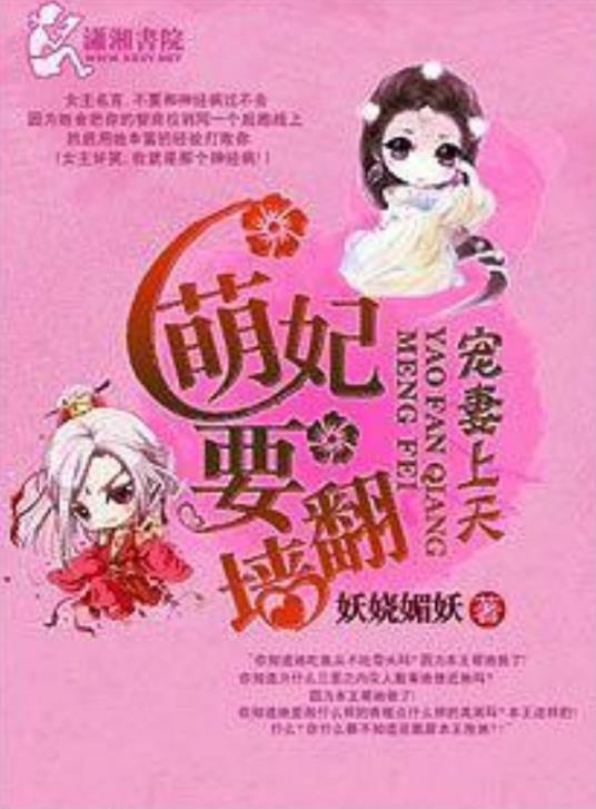 宠妻上天,萌妃要翻墻