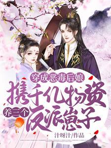 穿成恶毒后娘,携千亿物资养三个反派崽子