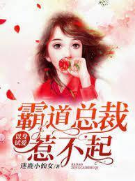 以身试爱，霸道总裁惹不起