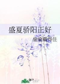 盛夏骄阳正好